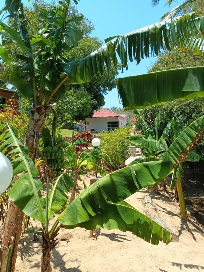 Finca De Nosotros Bonda 外观 照片