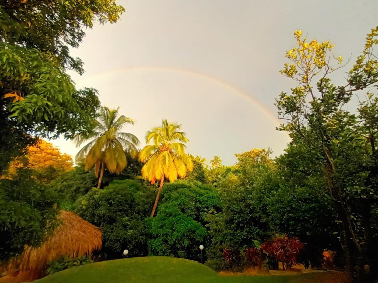 Finca De Nosotros Bonda 外观 照片
