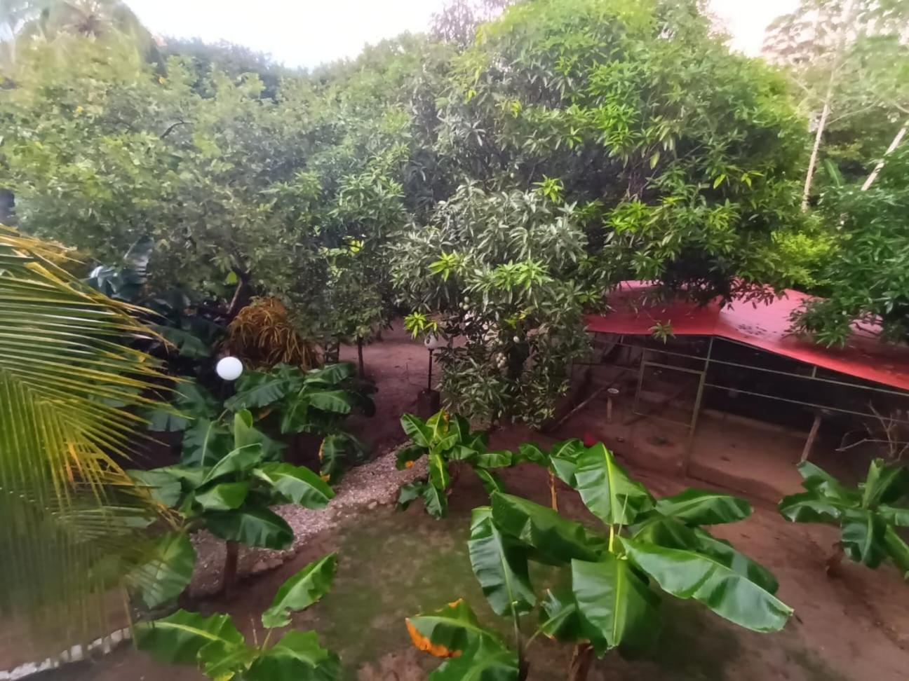 Finca De Nosotros Bonda 外观 照片